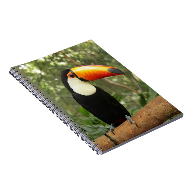 Carnet Toucan sur branche d'arbre (Côté Droit)