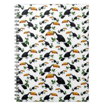 Toucans tropicaux - Jungle joueuse