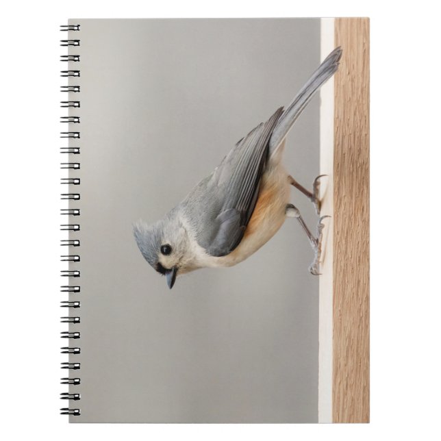 Carnet Touffé (Devant)