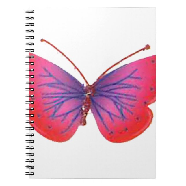 Carnet Toujours jeune (Devant)