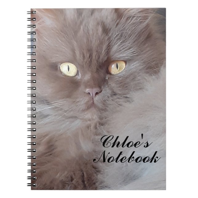 Carnet tourbillon de chats (Devant)