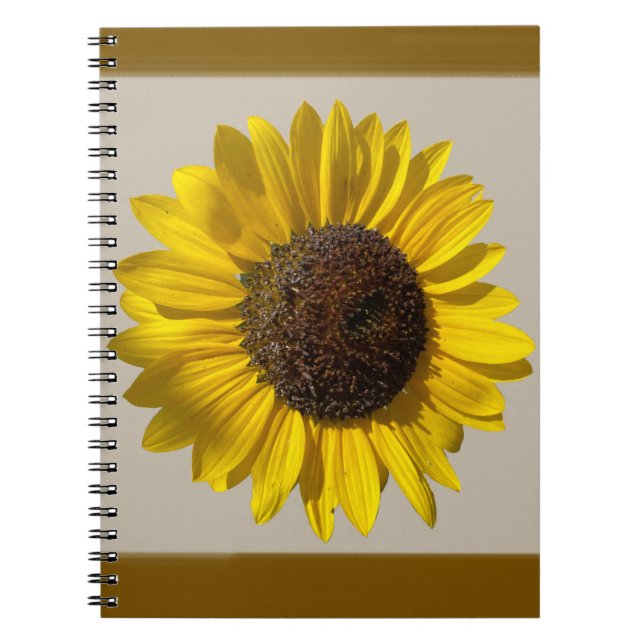Carnet tourbillon de tournesol (Devant)