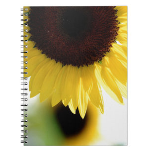 Carnet Tournesol