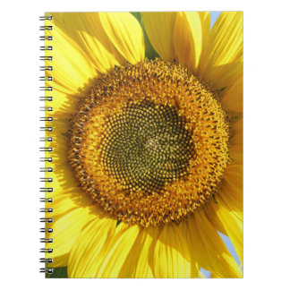 Carnet tournesol