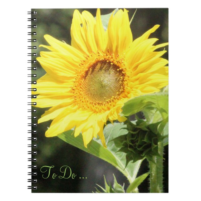 Carnet tournesol (Devant)