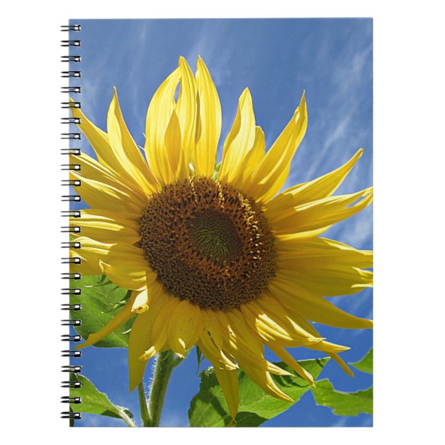 Carnet Tournesol gai (Devant)