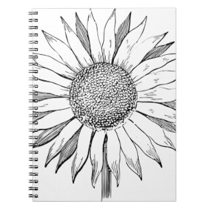 Carnet Tournesol illustré