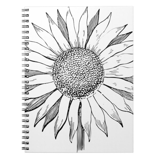 Carnet Tournesol illustré (Devant)