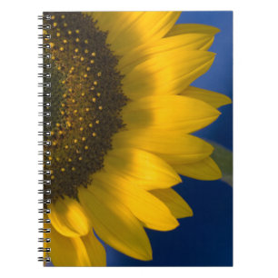 Carnet Tournesol jaune sur le bleu