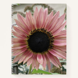 Carnet Tournesol rose pâle