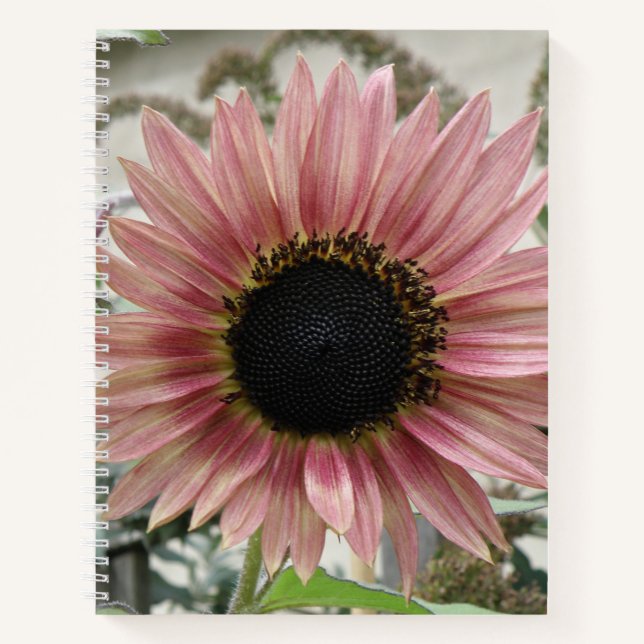 Carnet Tournesol rose pâle (Devant)