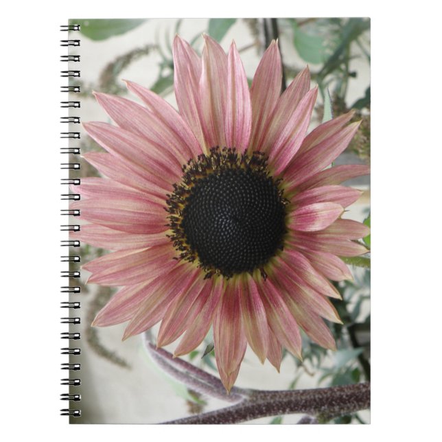 Carnet Tournesol rose pâle (Devant)