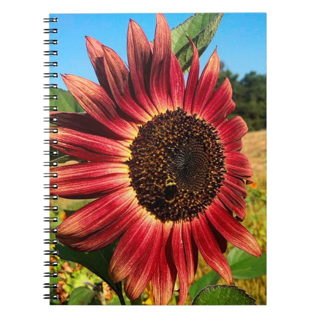 Carnet Tournesol rouge avec abeille (Devant)
