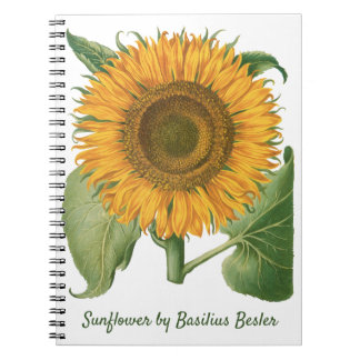 Carnet Tournesol Vintage par Basilius Besler