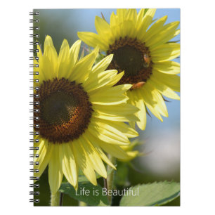 Carnet Tournesols Abeilles (ma photographie)