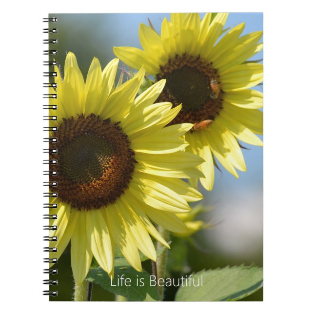 Carnet Tournesols Abeilles (ma photographie) (Devant)