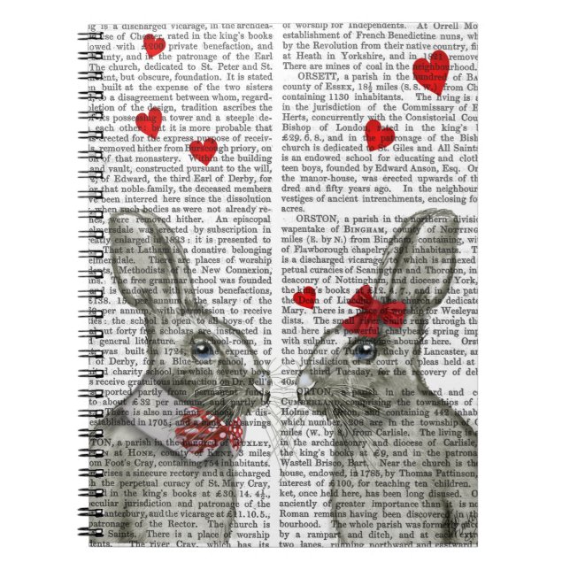 Carnet Tout (Devant)