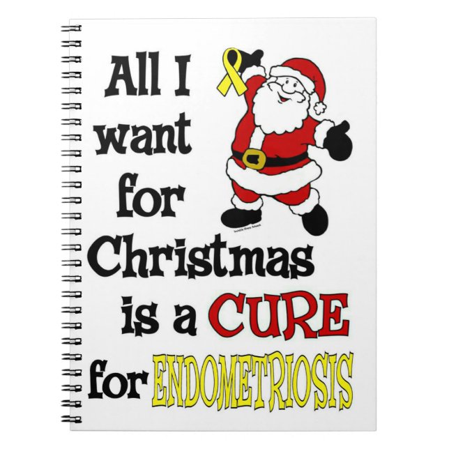 Carnet Tout Ce Que Je Veux Pour Noël...Endometriose (Devant)