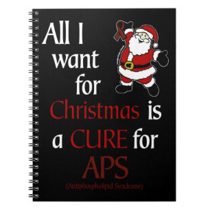 Carnet Tout ce que je veux pour Noël/Père Noël...APS