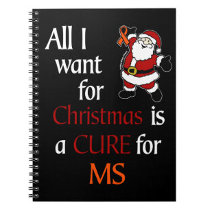 Carnet Tout ce que je veux pour Noël/Père Noël...MS Carne