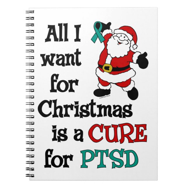 Carnet Tout ce que je veux pour Noël...TSPT (Devant)