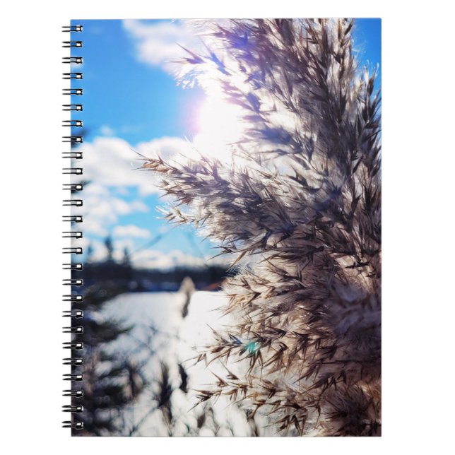 Carnet Tout simplement beau 1 (Devant)