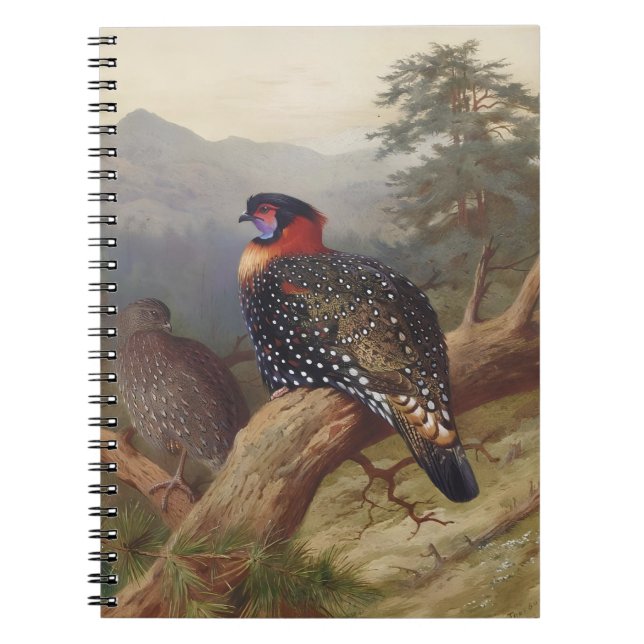 Carnet Tragopan occidental, Illustrations d'oiseaux (Devant)
