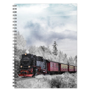 Carnet Train en hiver