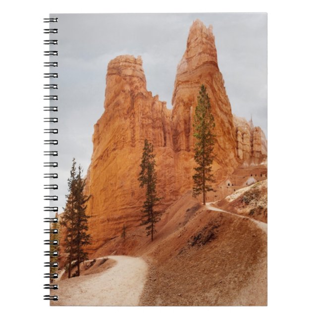 Carnet Traînée de boucle de Navajo, canyon de Bryce (Devant)