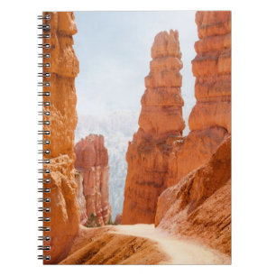 Carnet Traînée de parc national de canyon de Bryce
