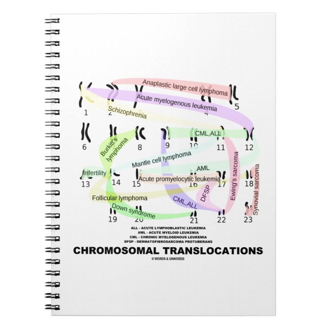 Carnet Translocations chromosomiques (Karyogramme) (Devant)
