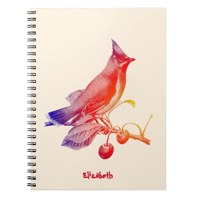 Carnet transparent d'oiseau de jaseur de cèdre (Devant)