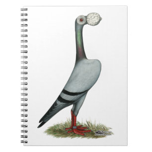 Carnet Transporteur Pigeon 2012