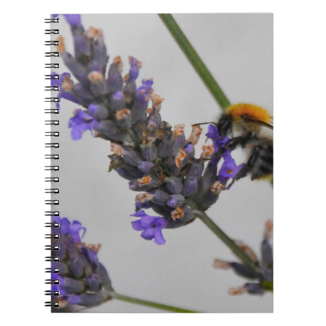 Carnet Travailleurs Merveilleux de la Nature (Devant)