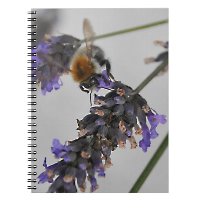 Carnet Travailleurs Merveilleux de la Nature (Devant)