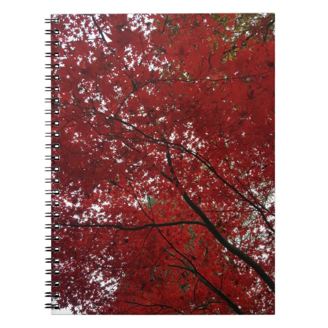 Carnet Tree Fall Season Red Brown Autumn Leaves (Devant)