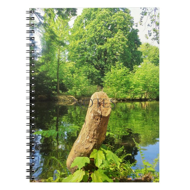 Carnet Tree Trunk Nature Photographie Parc du lac (Devant)