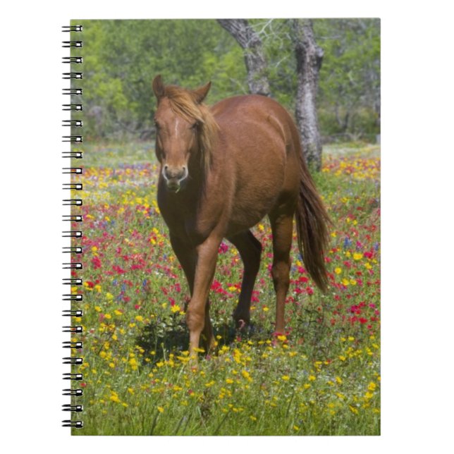 Carnet Trimestre Cheval en Champ de Fleur sauvage (Devant)