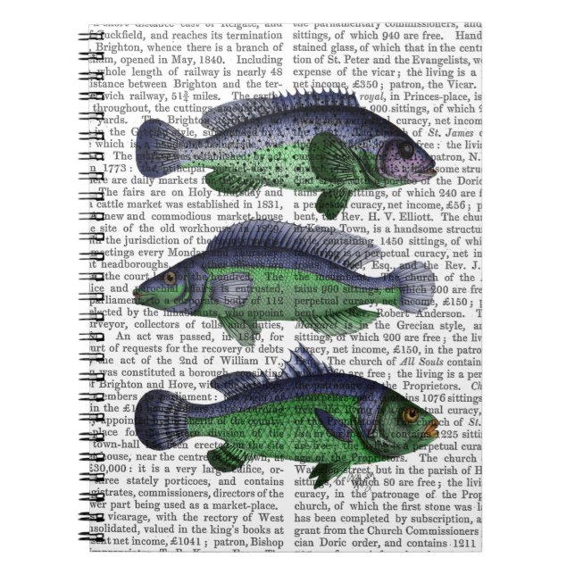 Carnet Trio poisson bleu et vert (Devant)