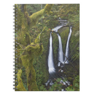 Carnet Triple Falls, gorge de Columbia