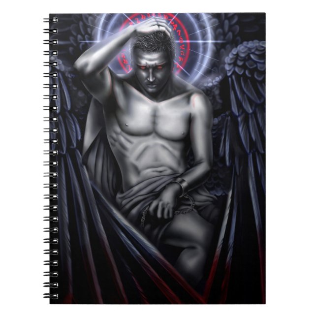 Carnet Triste Sympathie Pour Le Diable (Devant)