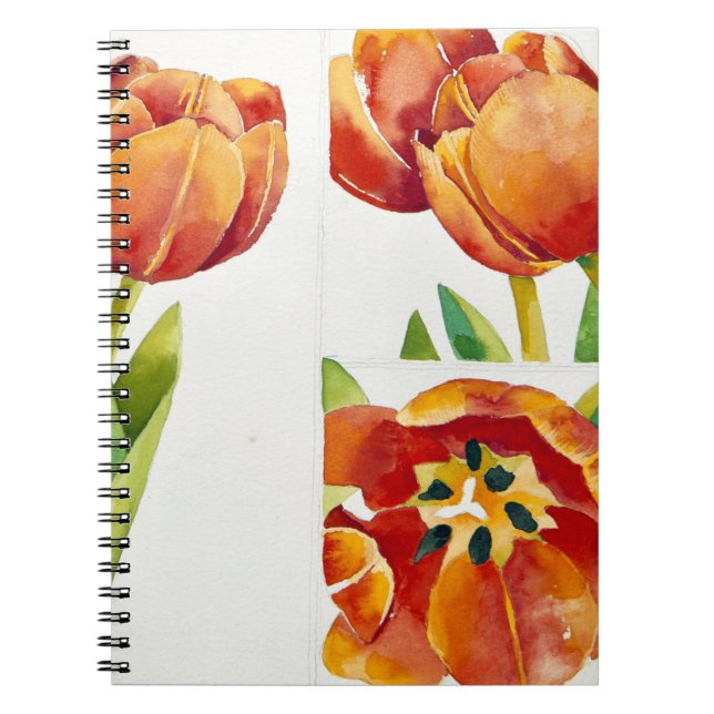 Carnet Trois études de tulipe dans un 2013 sûr (Devant)