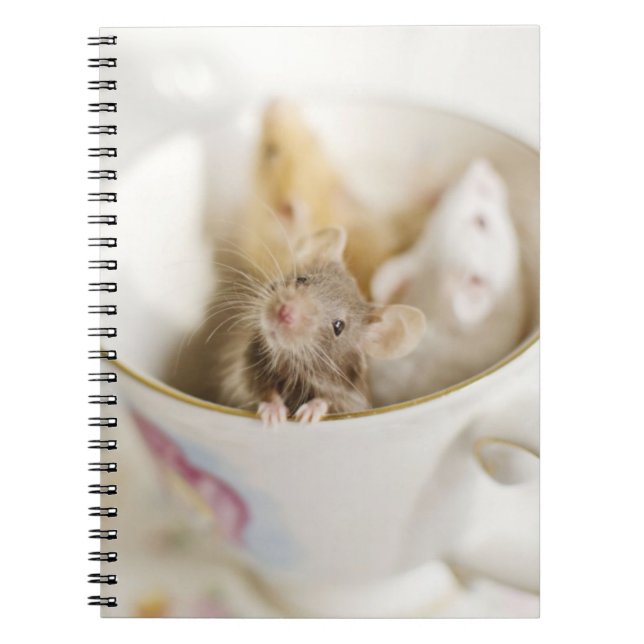 Carnet Trois petites souris (Devant)