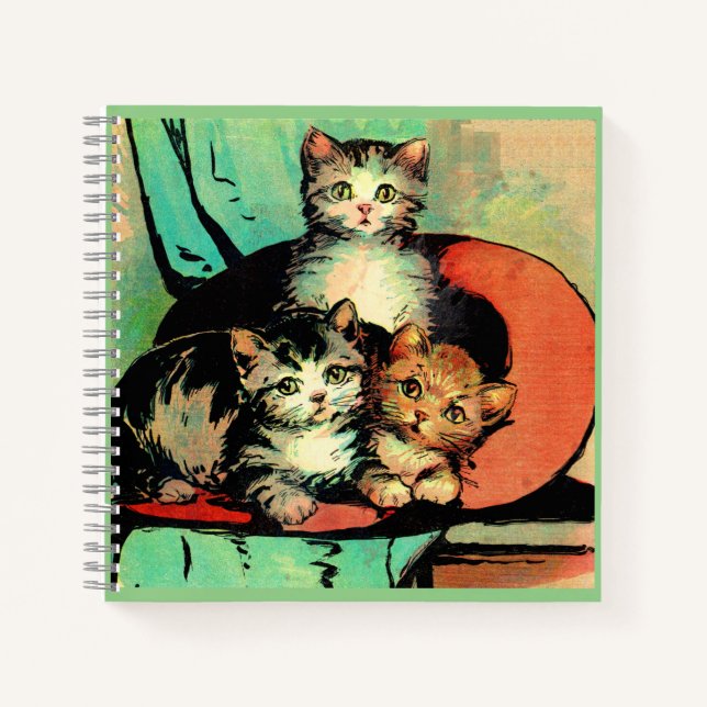 Carnet trois petits chatons (Devant)