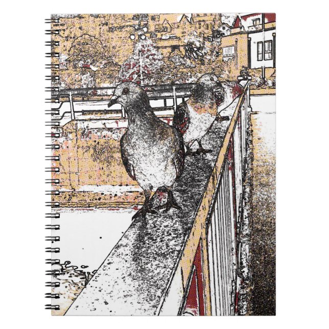 Carnet Trois pigeons (Devant)