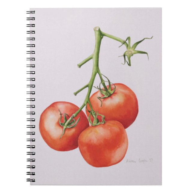 Carnet Trois tomates sur la vigne 1997 (Devant)
