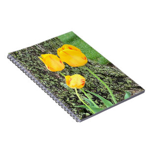 Carnet Trois Tulipes Jaunes / Spirale