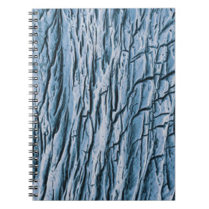 Carnet tronc Brown d'arbre en gros plan photographie