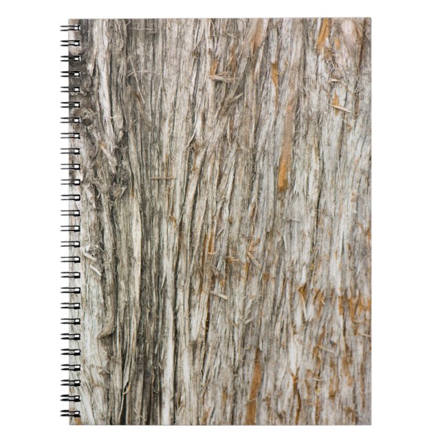 Carnet Tronc d'arbre (Devant)