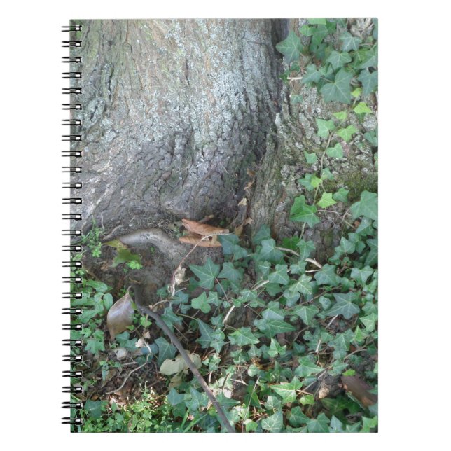Carnet Tronc d'arbre et lierre en forêt (Devant)